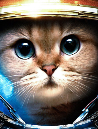 Cat blue eyes space helmet - a sci free wallpaper for mobile