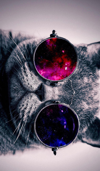 Cat closed eyes sunglasses space - space free wallpaper for mobile