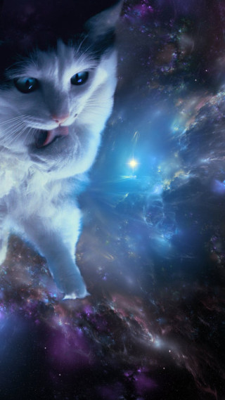 Cat space background stars bright - a bright light in the background free wallpaper