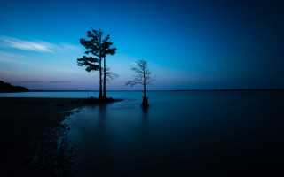 Lone tree beach dusk blue - adobe lightroom free wallpaper