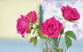 Pink roses vase bouquet bed - pink rose free wallpaper
