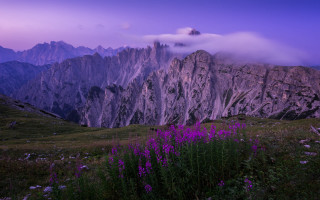 Mountain range purple sky flower - mystical free wallpaper for desktop