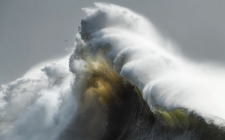 Large wave crashing boat bird - a large wave free wallpaper