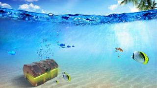Underwater suitcase fish palm tree - a suitcase free wallpaper