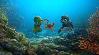 Coral reef fish seaweed underwater - a coral reef free wallpaper