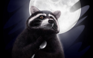 Raccoon fullmoon night illustration furry - a raccoon free wallpaper