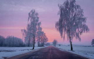 Snowy road pink sky mountain - tree and snow free wallpaper
