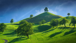 Green hill trees winding road - road free wallpaper