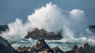 Stormy wave crash sea birds - arie smit free wallpaper