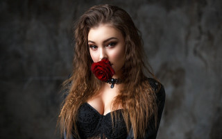 Elina karimova black roses romantic - a rose free wallpaper