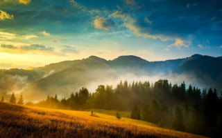 Sunset mountains fog trees lake - tree and mountains free wallpaper