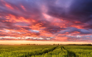 Sunset field clouds cityscape hill - a dirt road in the middle of it free wallpaper