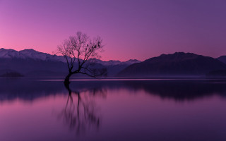 Lone tree lake sunset mountains 4 - a lone tree free wallpaper