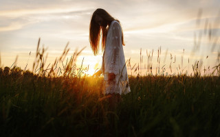 Woman field sunset silhouette standing - tall grass free wallpaper for desktop