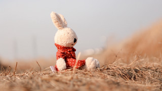 Stuffed rabbit red bowtie dry - dry grass free wallpaper