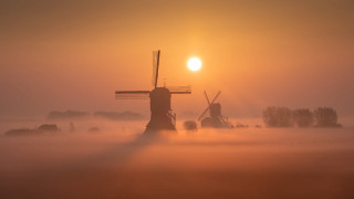 Windmill fog sun trees mist - mist free wallpaper