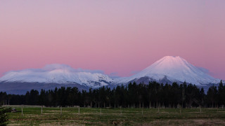 Mountain range pink sky forest - rich moody colours free wallpaper
