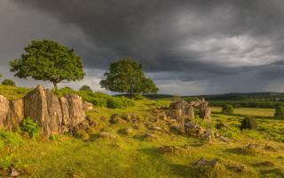Field tree rocks cloudy rainbow - a dark cloud in the sky free wallpaper for desktop