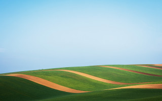Green field blue sky lone 4 - smooth gradient free wallpaper
