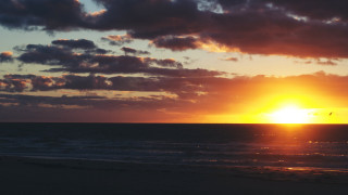 Sunset ocean bird clouds beach - free sunset wallpaper