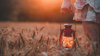 Lantern wheat field sunset neo - radiant light free wallpaper for desktop