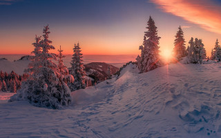 Sunset snowy mountain trees ice - artur tarnowski free wallpaper