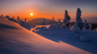 Sunset snowy mountain forest horizon - the distance behind free wallpaper