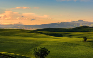 Green field lone tree mountains 3 - the distance in the distance free wallpaper