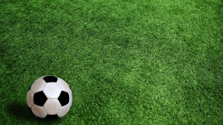 Soccer ball green field plant - spot free wallpaper