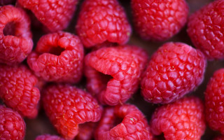 Raspberries water droplets macro berry - raspberry free wallpaper for desktop