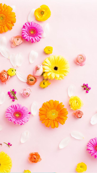 Pink flowers bordered background yellow - free flowers wallpaper for mobile