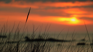 Sunset clouds grass boat horizon - the foreground and a boat in the distance free wallpaper