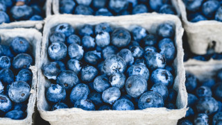 Blueberry market blurry depth of - sale free wallpaper