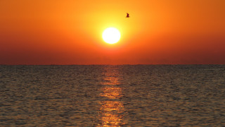 Bird ocean sunset sky mountain - sunrise time free wallpaper