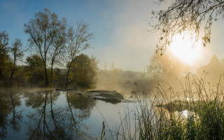 River foggy sky trees sun - the background and a sun free wallpaper
