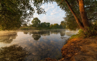 River trees water sky clouds - river free wallpaper for desktop
