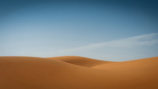 Lone tree desert minimalism sunset - amir zand free wallpaper