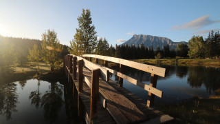 Wooden bridge river mountain trees - a mountain in the background and trees free wallpaper