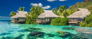 Huts beach ocean trees blue - top of a beach next free wallpaper