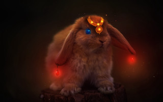 Glowing rabbit fantasy art animal - a rabbit free wallpaper