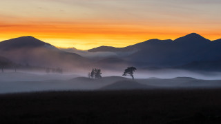 Sunset mountain fog trees evening - david begbie free wallpaper