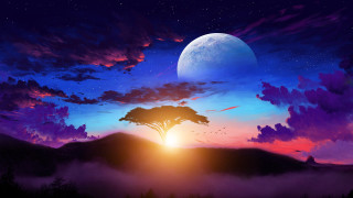 Sunset moon tree clouds beach - alena aenami free wallpaper for desktop