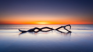 Driftwood beach sunset ocean sky - an abstract sculpture free wallpaper for desktop