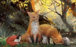 Fox cubs forest autumn furry - a forest setting free wallpaper