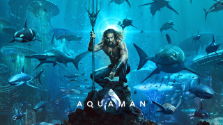 Man spear rock aquarium sharks - a spear free wallpaper