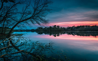 Sunset tree water pink sky - lake free wallpaper