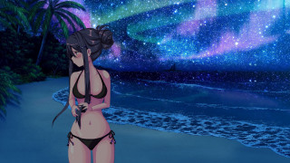 Woman beach starry sky palm - a sky full free wallpaper for desktop