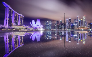 City skyline purple flower water - adrian zingg free wallpaper