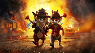 Fire sky animals campfire night - a couple of animals free wallpaper for desktop