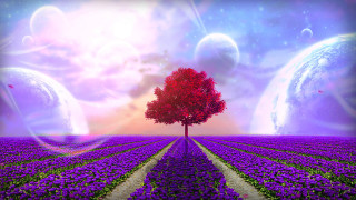 Tree flowers planet purple sky - planet free wallpaper for desktop